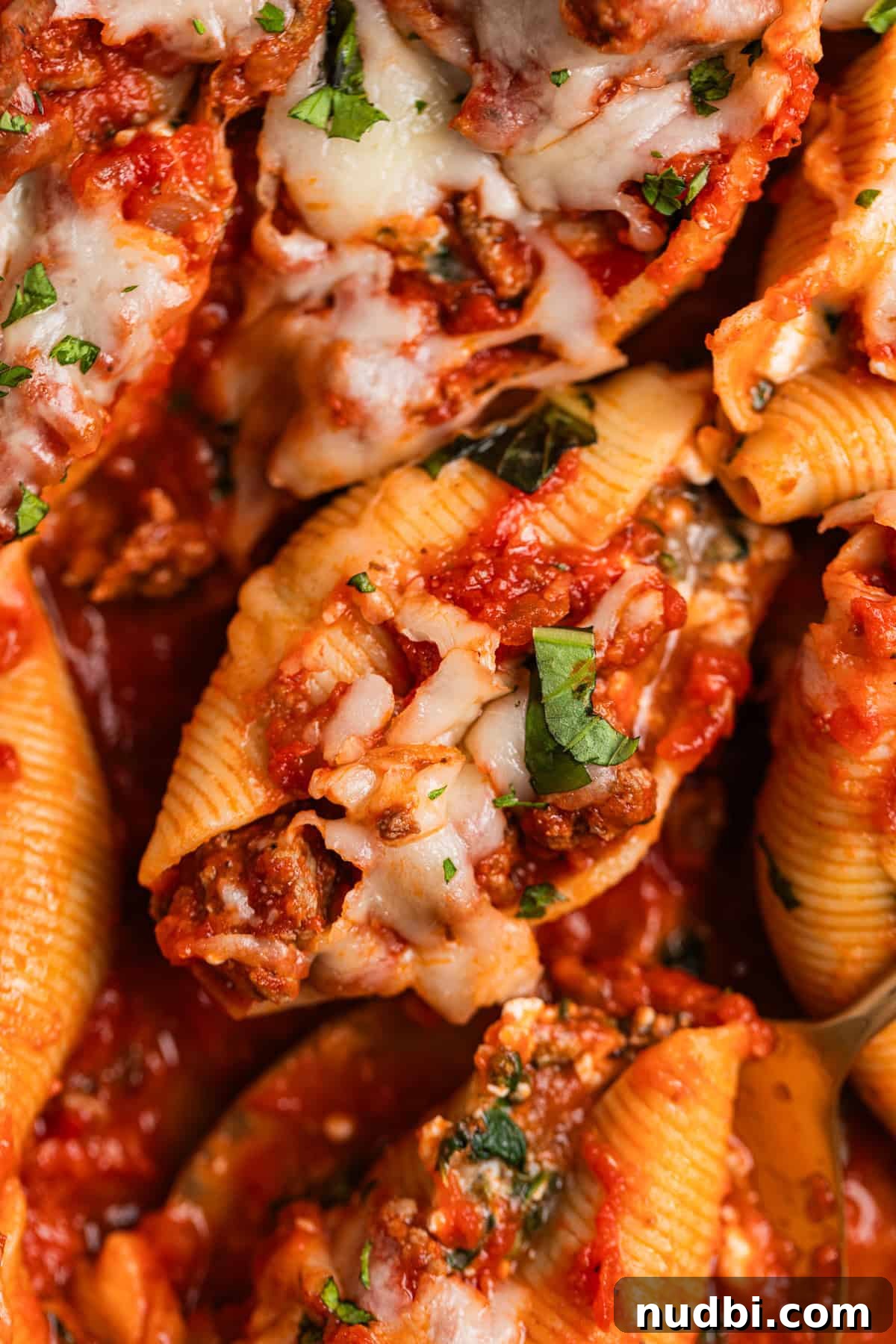 Cheesy Ground Beef Stuffed Shells Recipe for Family Dinners 2 Ground beef, cheese and spinach stuffed pasta shells covered with melted mozzarella and chopped basil.