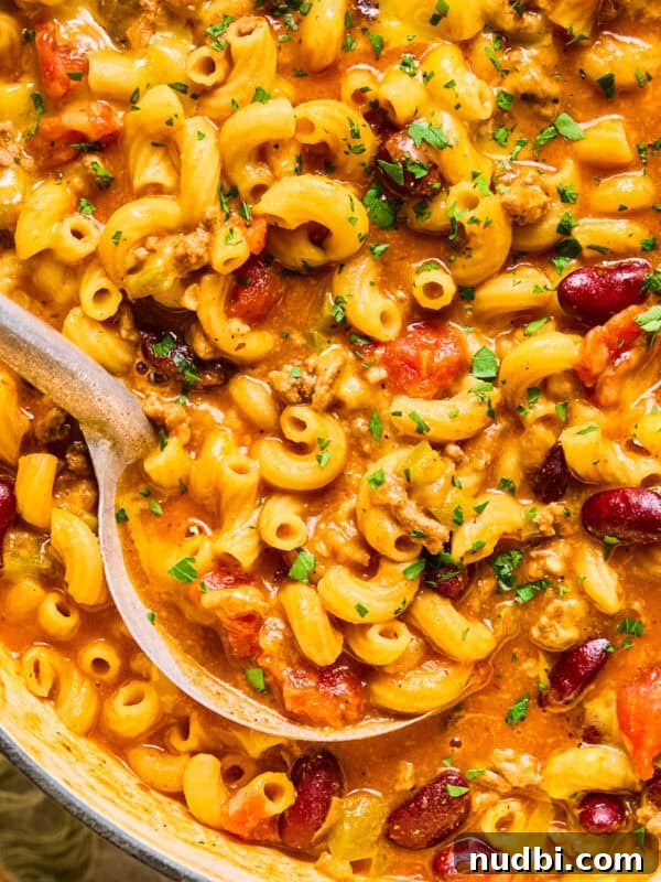 Cheesy Ground Beef Stuffed Shells Recipe for Family Dinners 12 Ladle scooping up chili macaroni and cheese in pot.
