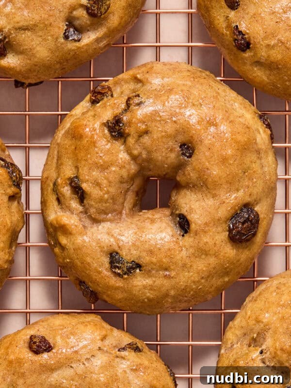 Creamy Greek Yogurt Bark Recipe with Fruit and Honey Toppings 10 Cinnamon raisin greek yogurt bagels on cooling rack.