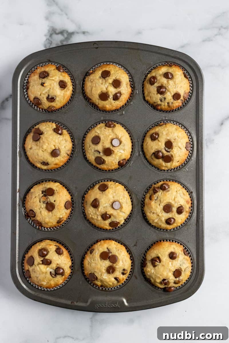 Coconut Banana Muffins with Chocolate Chips That Melt Inside 6 Coconut banana muffin batter in muffin tin after baking.