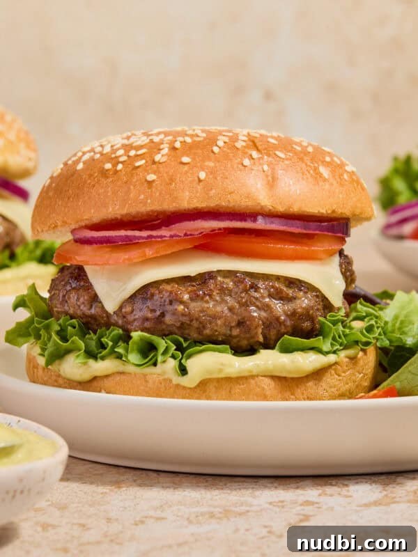 Cilantro-Lime Flat Iron Steak Fajitas Recipe 15 Mozzarella burger on bun with toppings on plate with simple salad.