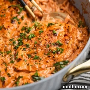 Creamy Chicken Orzo Skillet with Garlic and Parmesan 14 Skillet with creamy orzo and chicken breast topped with chopped parsley.