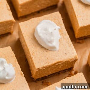 No-Bake Pumpkin Cheesecake Bars Recipe — Creamy Autumn Dessert 14 Pumpkin cheesecake bars arranged on brown parchment topped with a dollop of whipped cream.