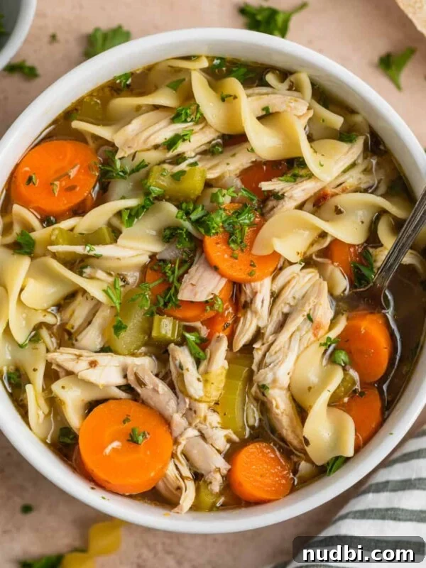 Hearty Vegetable and Meatball Soup Recipe for Cozy Meals 8 Overhead view of rotisserie chicken noodle soup in white bowl with spoon.