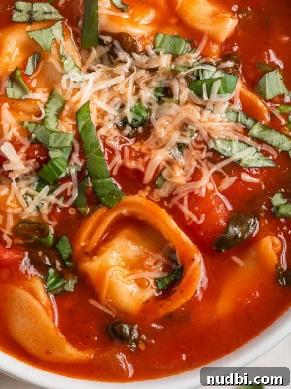 Hearty Vegetable and Meatball Soup Recipe for Cozy Meals 10 White bowl with tomato tortellini soup and spoon scooping in.