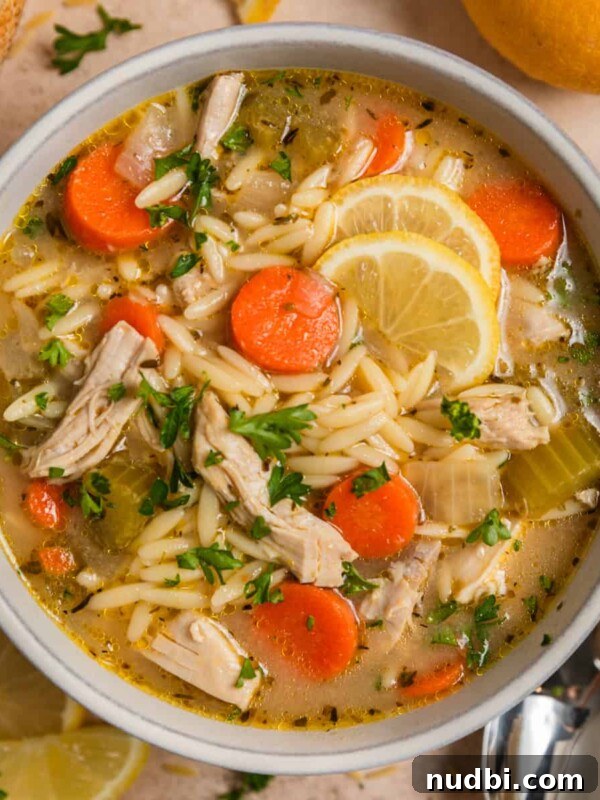 Hearty Vegetable and Meatball Soup Recipe for Cozy Meals 11 Bowl with orzo soup with chicken, carrots, celery and topped with lemon and parsley.