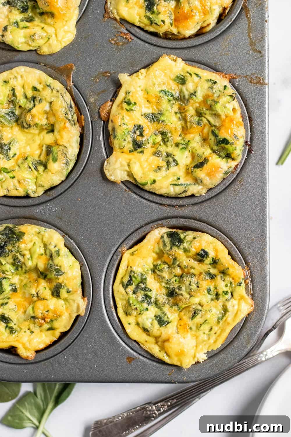Overhead view of spinach egg muffins with zucchini.