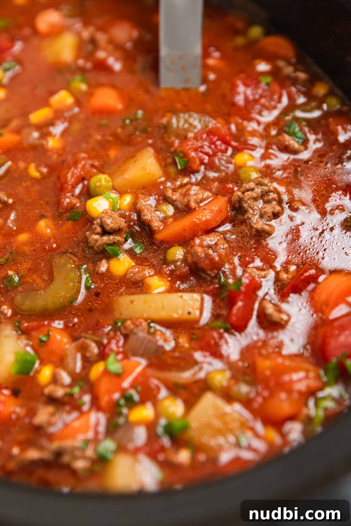 Slow Cooker Hamburger Soup Recipe for Hearty Weeknight Meals 2 Crock pot with hamburger and vegetable soup with ladle scooping into the pot.