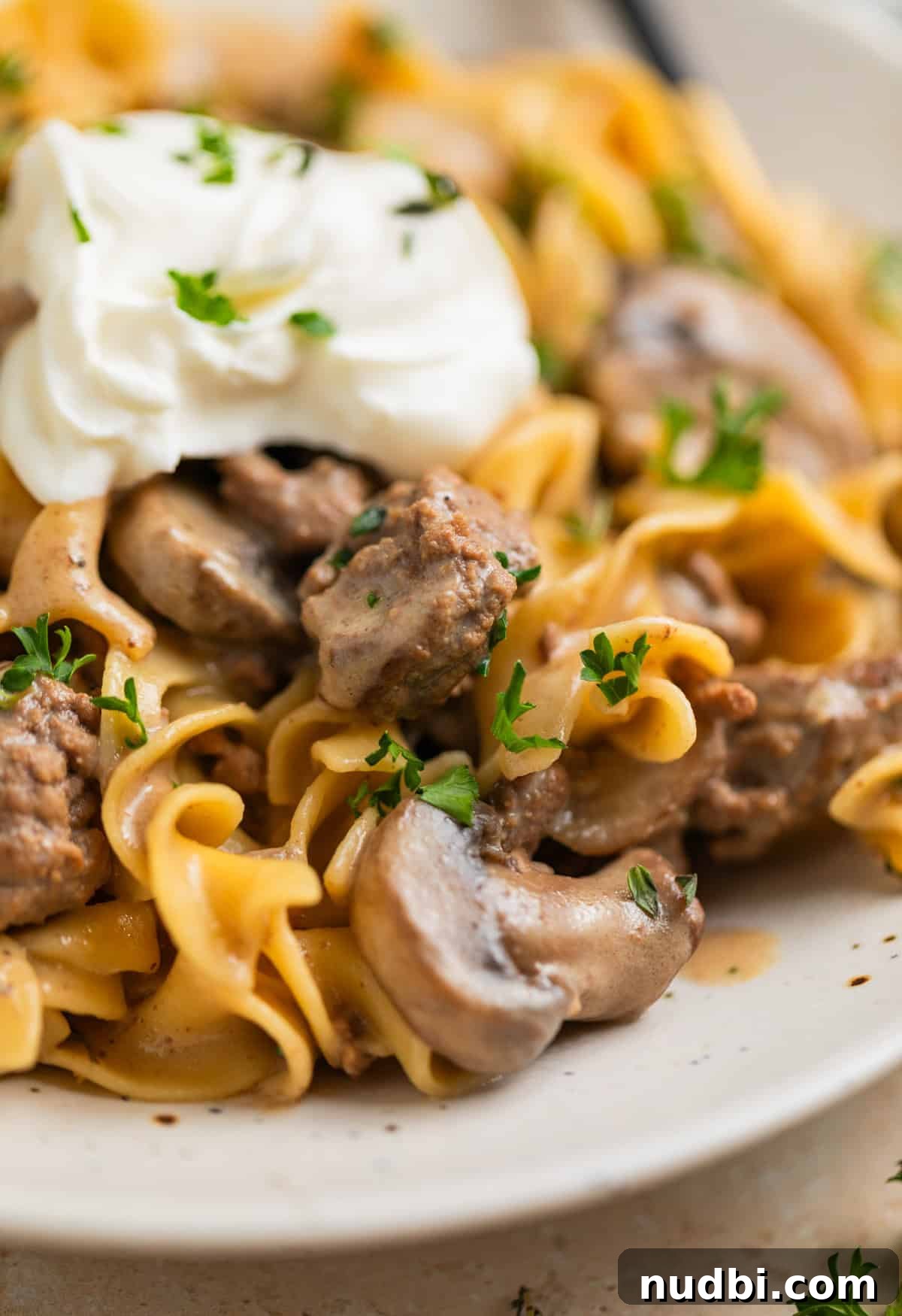 Creamy One-Pot Ground Beef Stroganoff Recipe 10 Plate with one-pot ground beef stroganoff topped with chopped parsley and sour cream.