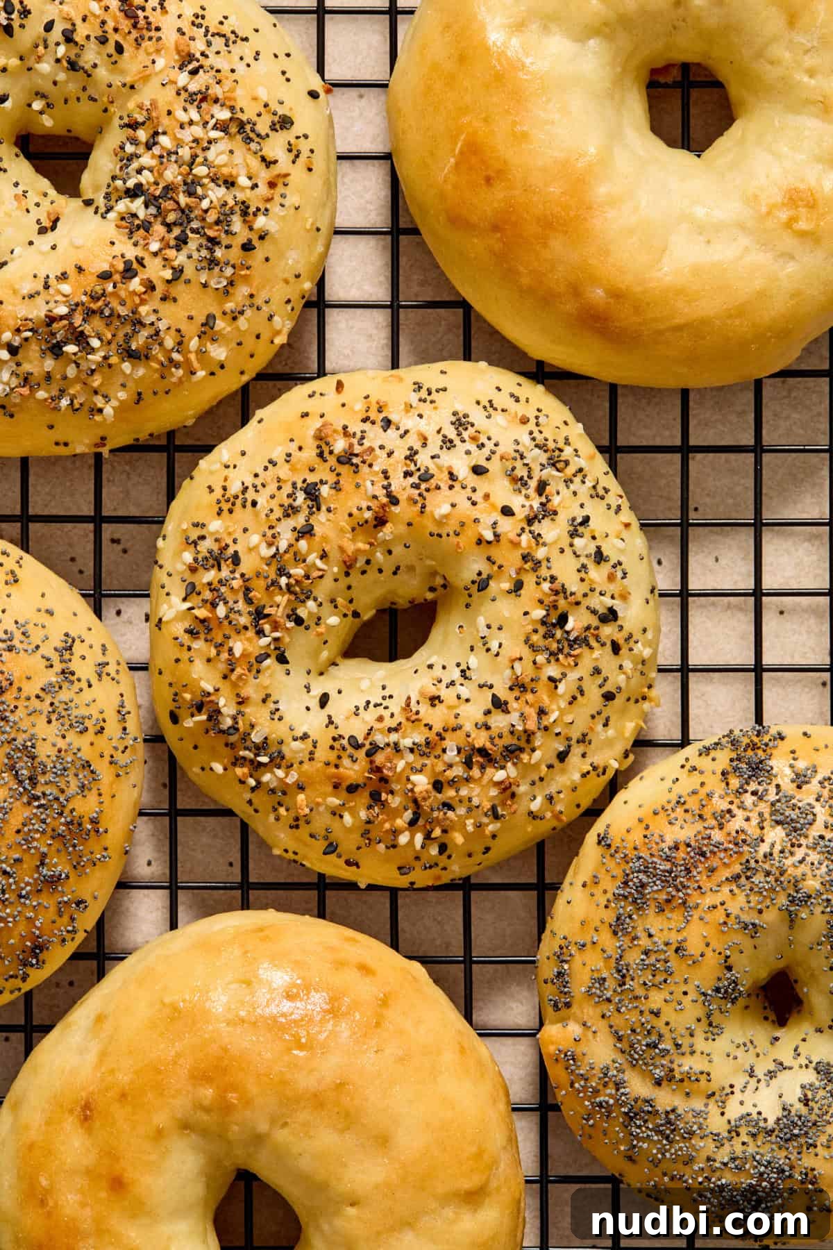 High-Protein Greek Yogurt Bagel Recipe 2 Greek yogurt bagels on cooling rack topped with everything bagel seasoning.