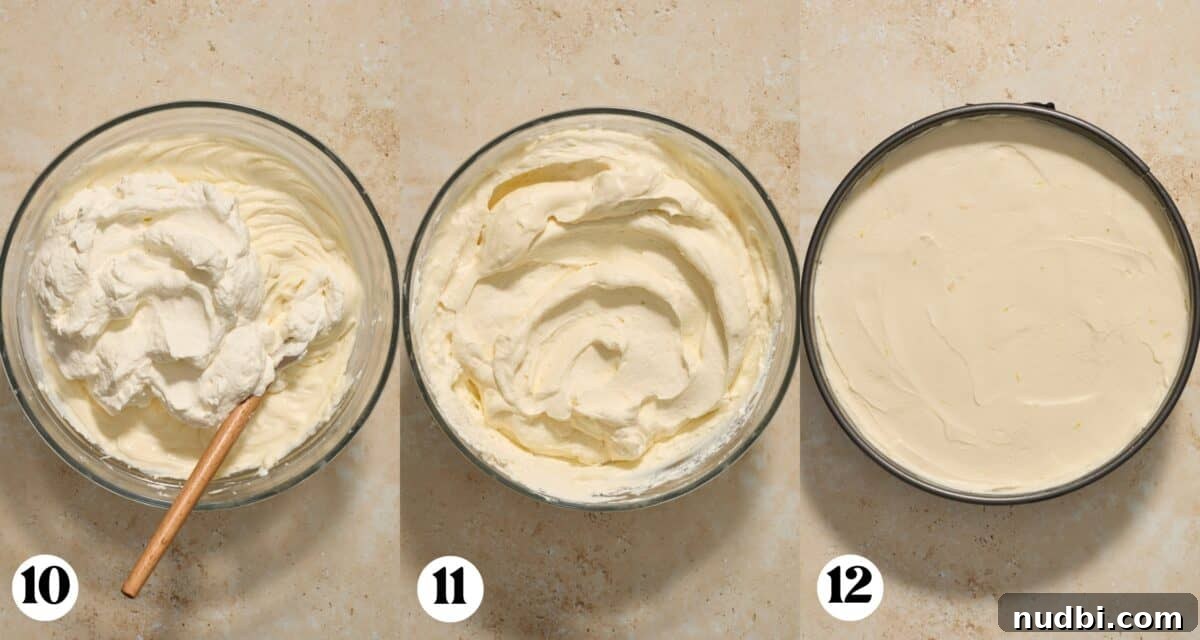 No-Bake Lemon Blueberry Cheesecake Recipe — Light & Creamy Dessert 7 Whipped cream folded into cream cheese mixture and then added to springform pan.
