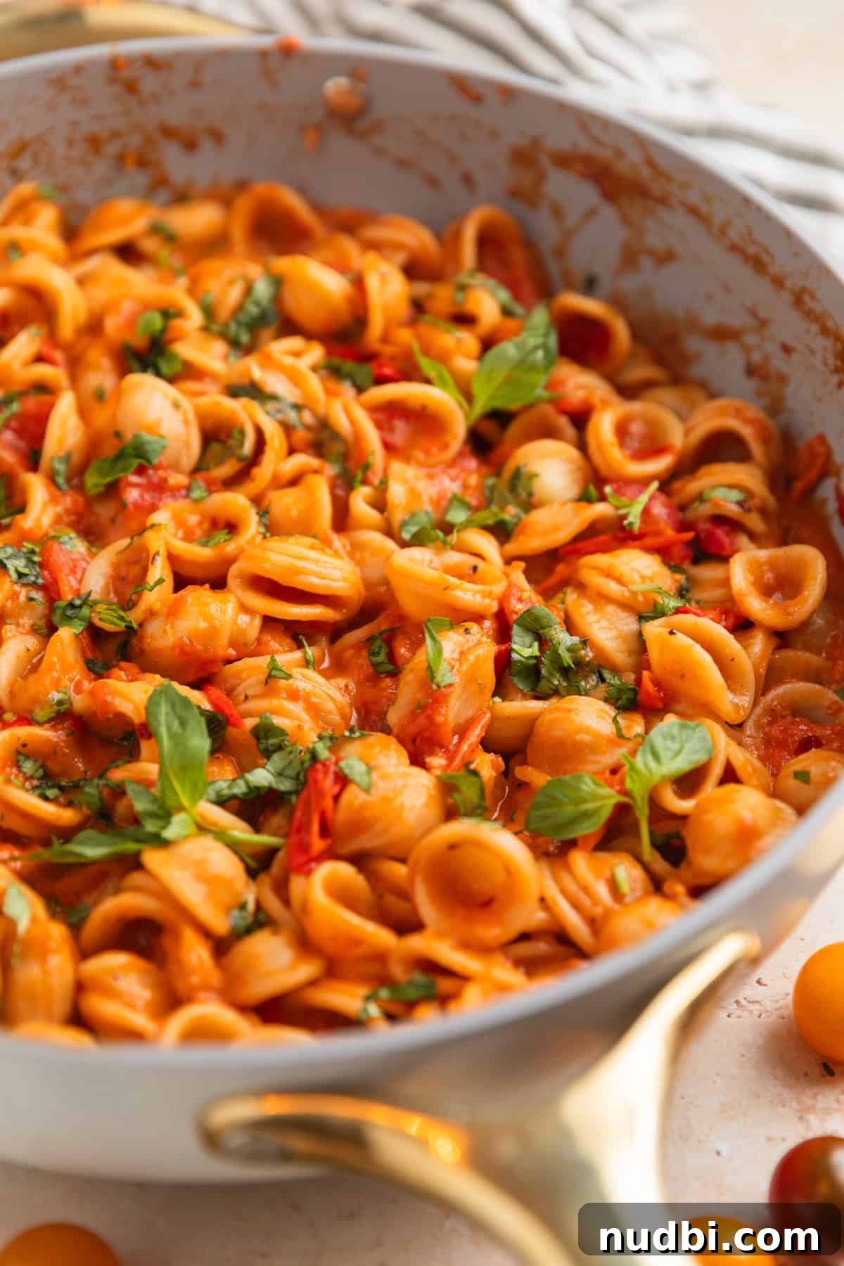 Quick Cherry Tomato Pasta Recipe for Fresh Weeknight Dinners 2 Pan with cherry tomato past topped with fresh basil.