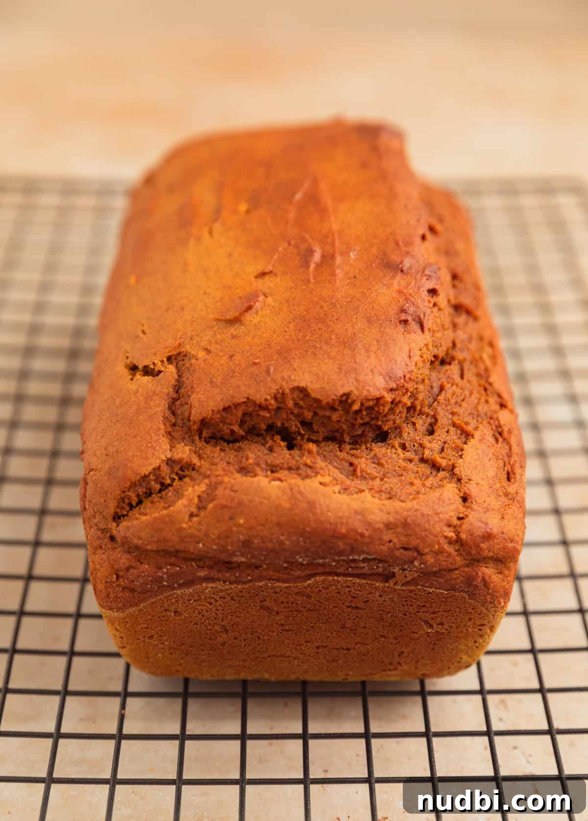 Pumpkin Bread Made from Cake Mix: Quick Moist Recipe 11 Baked pumpkin bread on cooling rack.