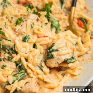 Fork scooping into creamy baked chicken orzo on plate.