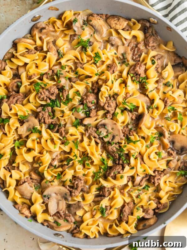 One-Pan Chicken and Rice Skillet Recipe for Flavorful Weeknights 12 Skillet with beef stroganoff topped with chopped fresh parsley.