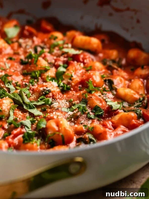 One-Pan Chicken and Rice Skillet Recipe for Flavorful Weeknights 14 Creamy tomato basil skillet gnocchi topped with chopped basil and parsley.