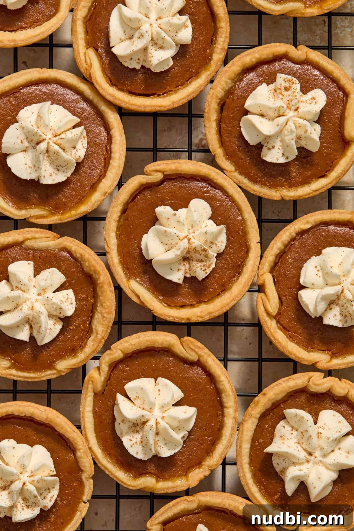 Mini Pumpkin Pies Recipe: Perfect Individual Pumpkin Tarts 2 Cooling rack with miniature pumpkin pies topped with whipped cream and cinnamon.