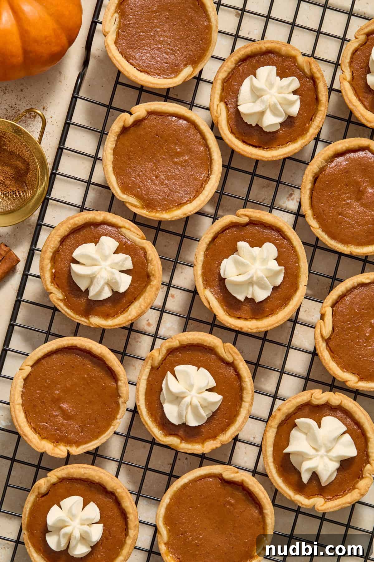 Mini Pumpkin Pies Recipe: Perfect Individual Pumpkin Tarts 12 Miniature pumpkin pies on wire rack, some with whipped cream piping and others without.