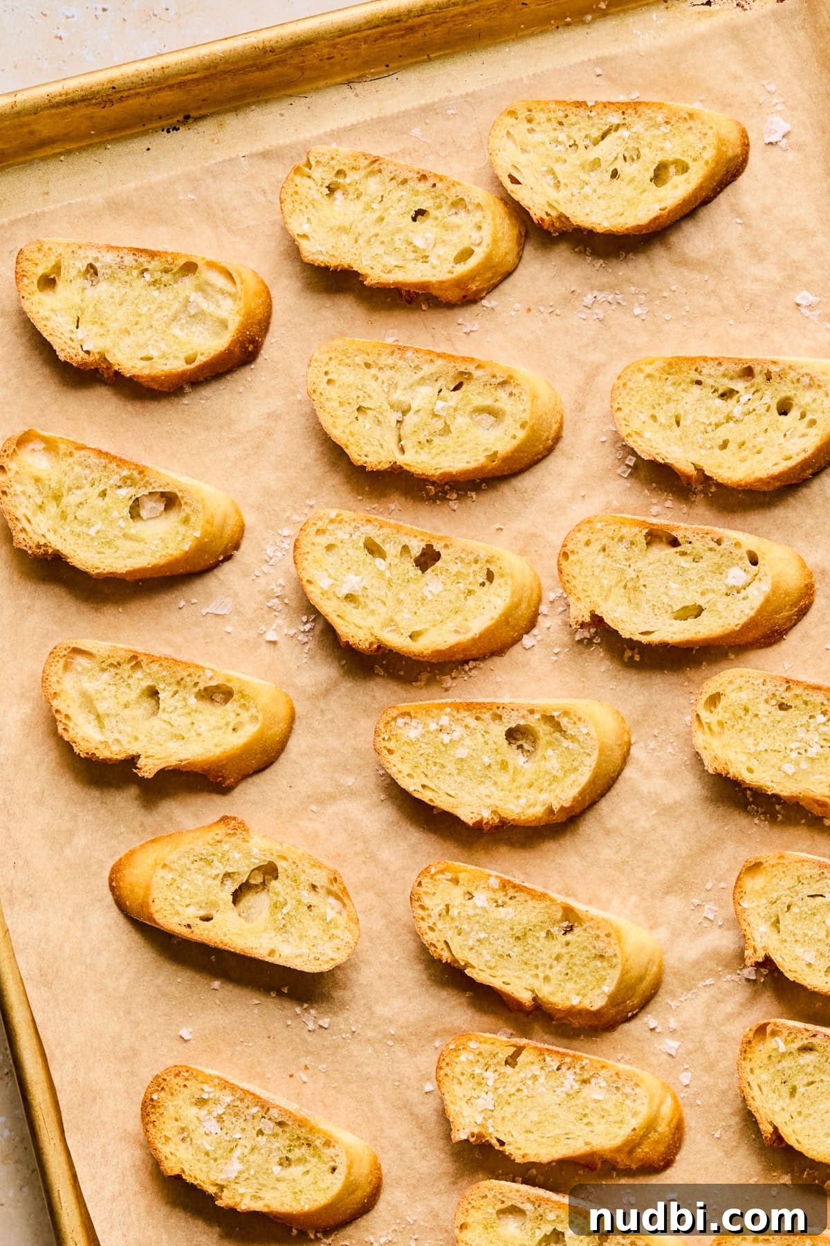 Creamy Whipped Ricotta Dip Recipe for Entertaining 8 Toasted crostini with sea salt on top.