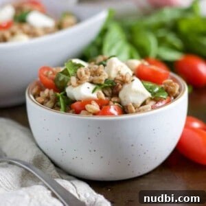 Caprese Farro Salad with Cherry Tomatoes, Basil & Mozzarella 6 img 5626 5