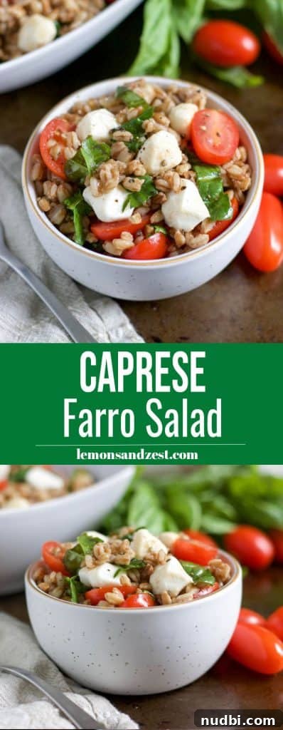 Caprese Farro Salad with Cherry Tomatoes, Basil & Mozzarella 7 Caprese Farro Salad Pin.