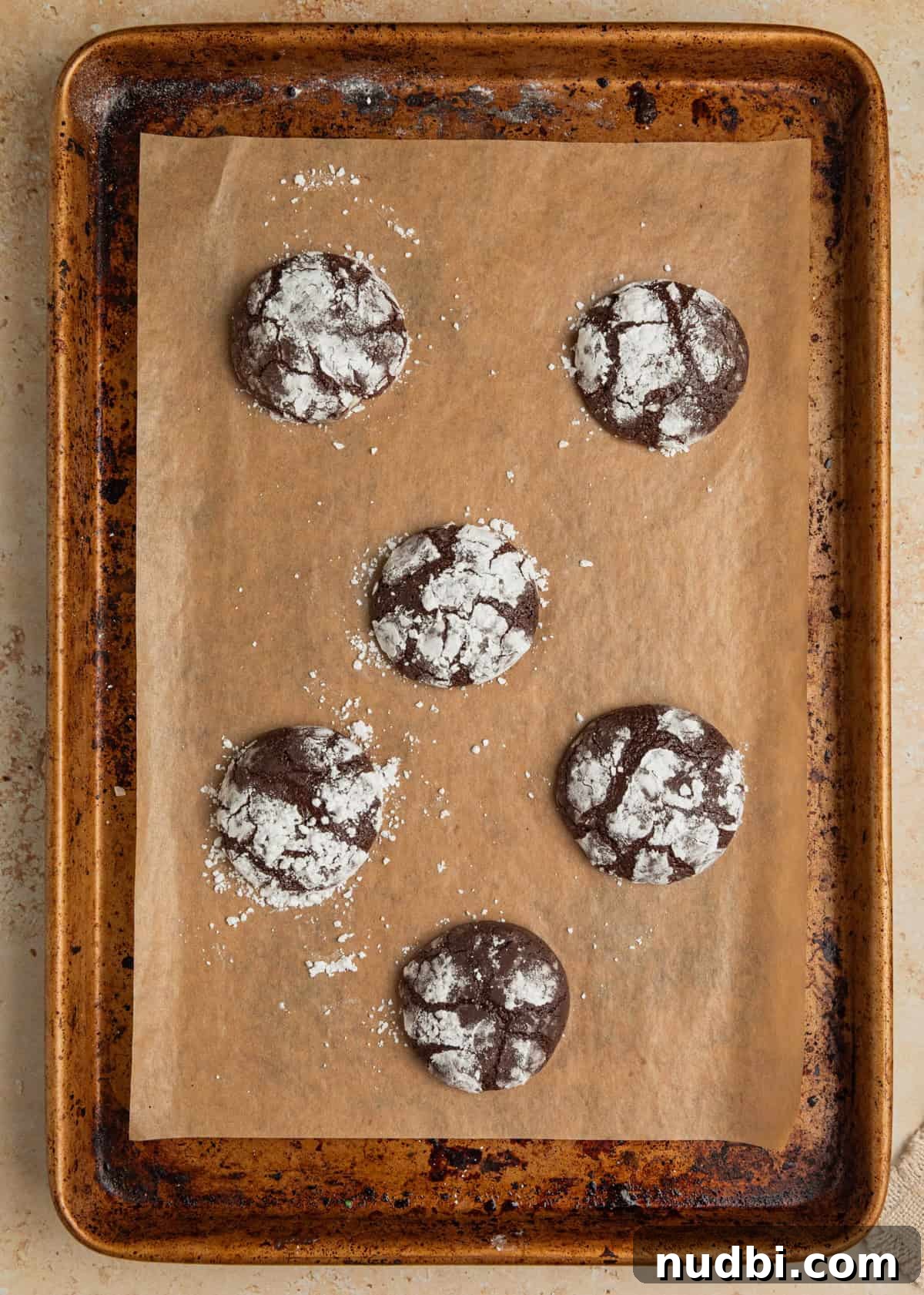 Chocolate Crinkle Blossom Cookies Recipe: Soft Fudgy Chocolate Blossoms 8 Chocolate crinkle cookies fresh from oven on cookie sheet.