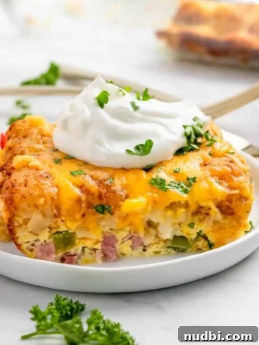Breakfast casserole with tator tots on white plate with parsley and sour cream.