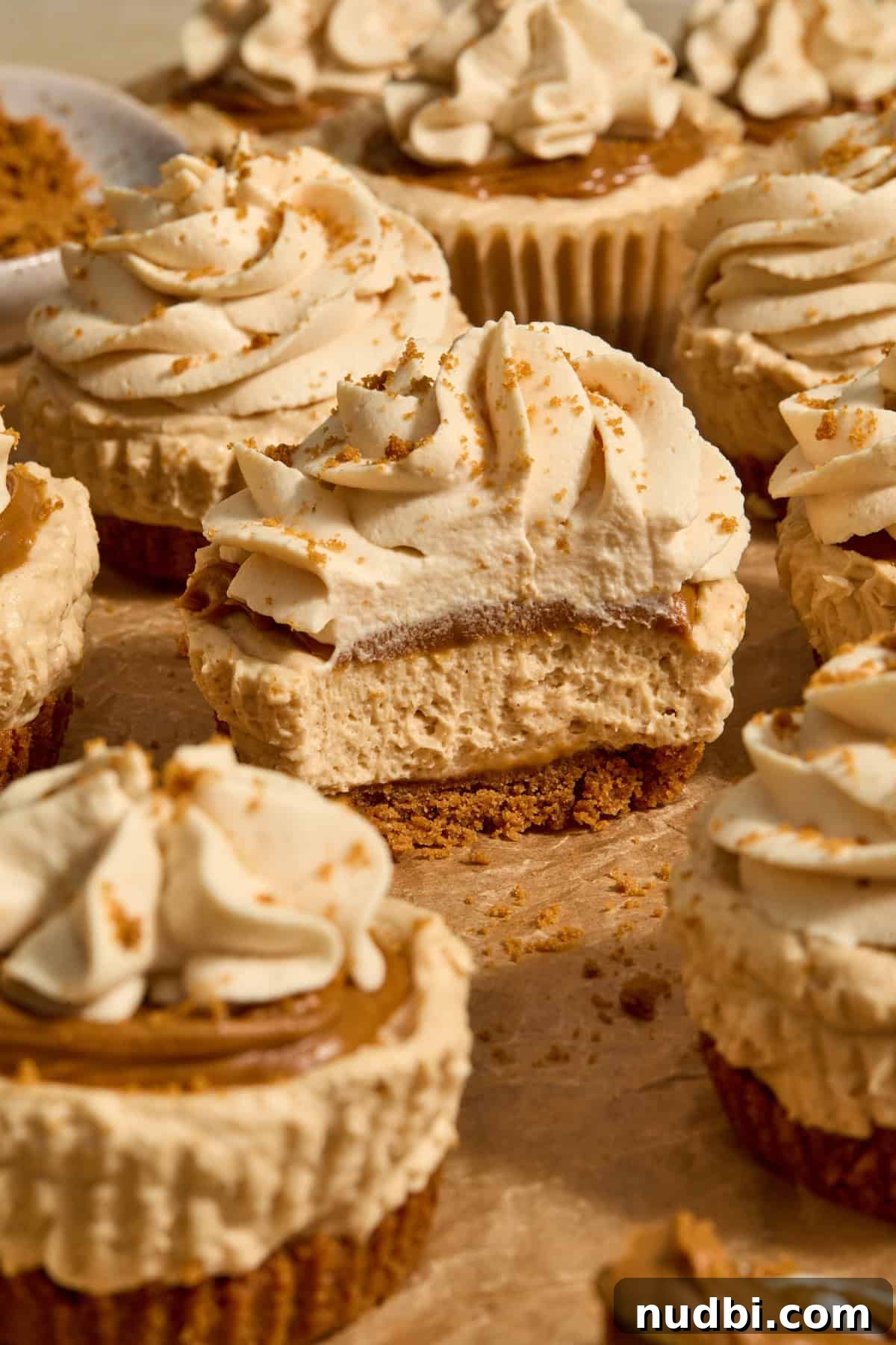 No-Bake Mini Biscoff Cheesecakes Recipe for Crowd-Pleasing Treats 15 No-bake mini cheesecakes topped with cookie butter whipped cream on parchment.