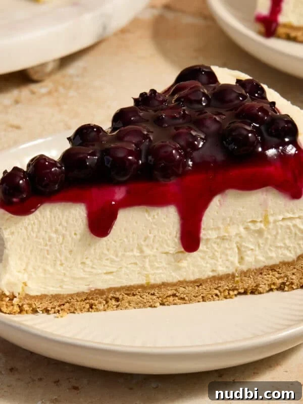 No-Bake Mini Biscoff Cheesecakes Recipe for Crowd-Pleasing Treats 17 No-bake lemon blueberry cheesecake on plate.