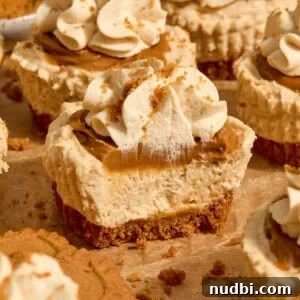 No-Bake Mini Biscoff Cheesecakes Recipe for Crowd-Pleasing Treats 20 Mini biscoff cookie butter cheesecakes on parchment topped with whipped cream.