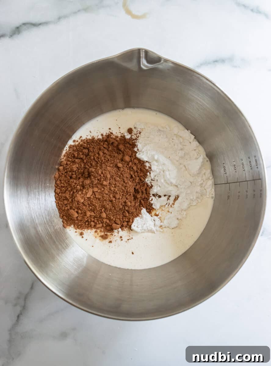 Light and Fluffy Chocolate Whipped Cream Recipe 4 Heavy cream, cocoa powder, and confectioner's sugar in stainless steel mixing bowl.