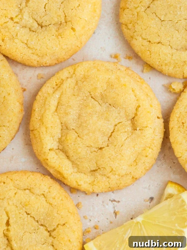Frosted Sugar Cookie Bars Recipe — Soft, Chewy Dessert Bars 16 Lemon sugar cookies on surface with lemon wedges.