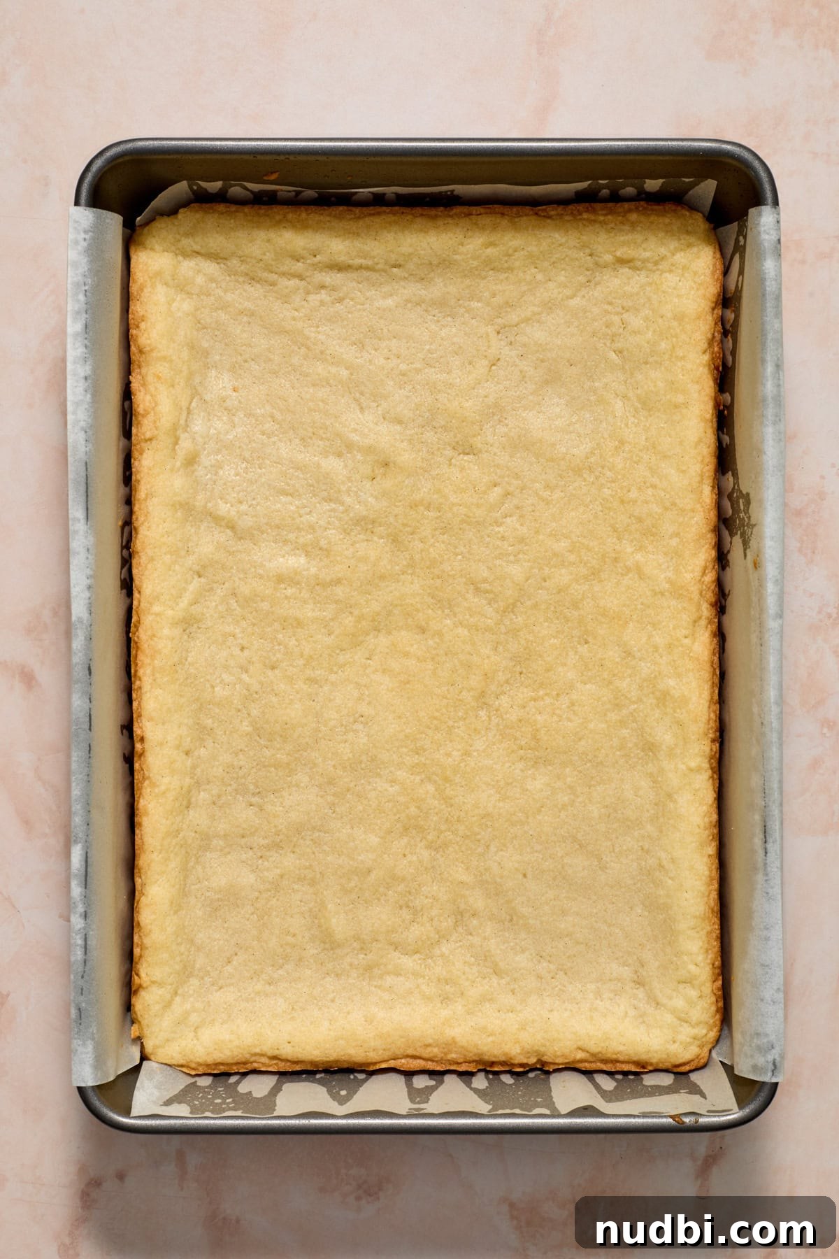 Frosted Sugar Cookie Bars Recipe — Soft, Chewy Dessert Bars 10 Baked cookie bars in pan.