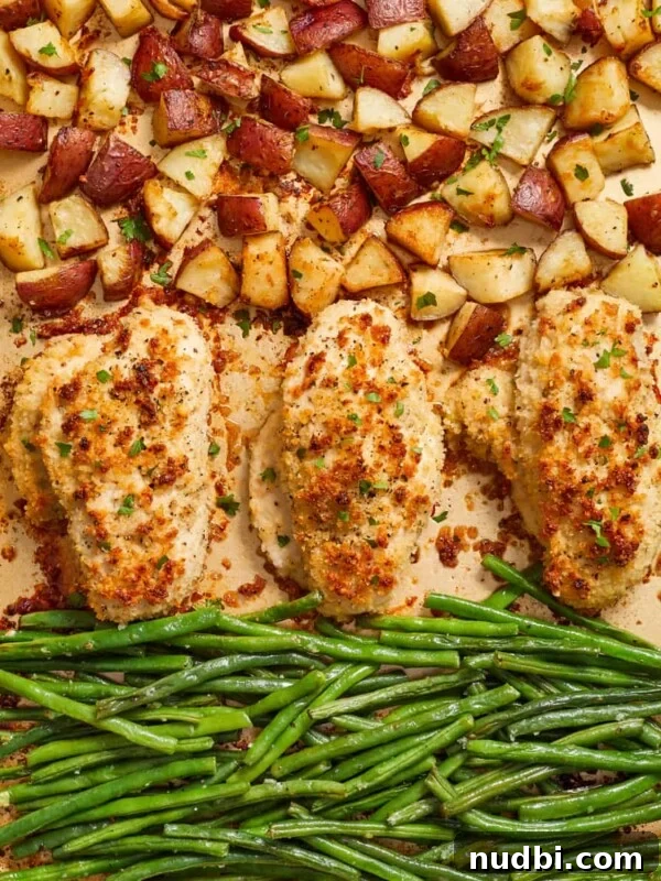 Greek-Style Sheet Pan Chicken Dinner with Lemon & Olives 12 Parmesan crusted chicken sheet pan dinner cooked on baking sheet.
