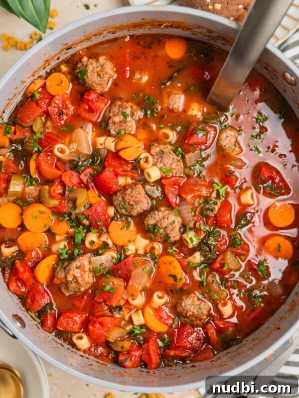 Spinach and Feta Turkey Meatballs with Garlic Herb Sauce 14 Large pot with vegetable meatball soup topped with chopped parsley and ladle placed in pot.