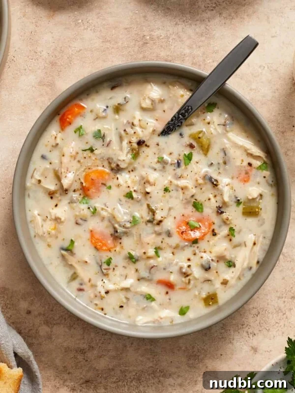 Slow-Cooker Sausage and Tortellini Soup Recipe 14 Overhead view of creamy chicken wild rice soup in bowl topped with chopped parsley.