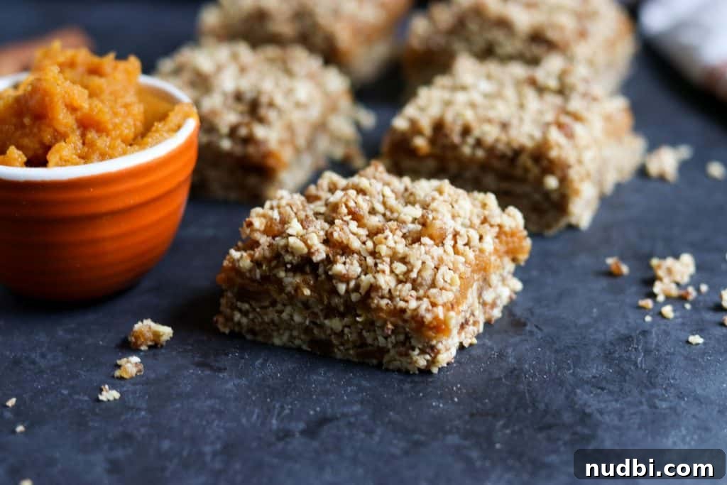 No-Bake Pumpkin Crumble Bars Recipe for Fall Dessert 3 No Bake Pumpkin Crumble Bars. These simple no bake bars will be your new favorite treat! A handful of wholesome ingredients including almonds, pecans, medjool dates and cinnamon along with everyone's fall favorite: pumpkin! They will be ready in minutes! lemonsandzest.com