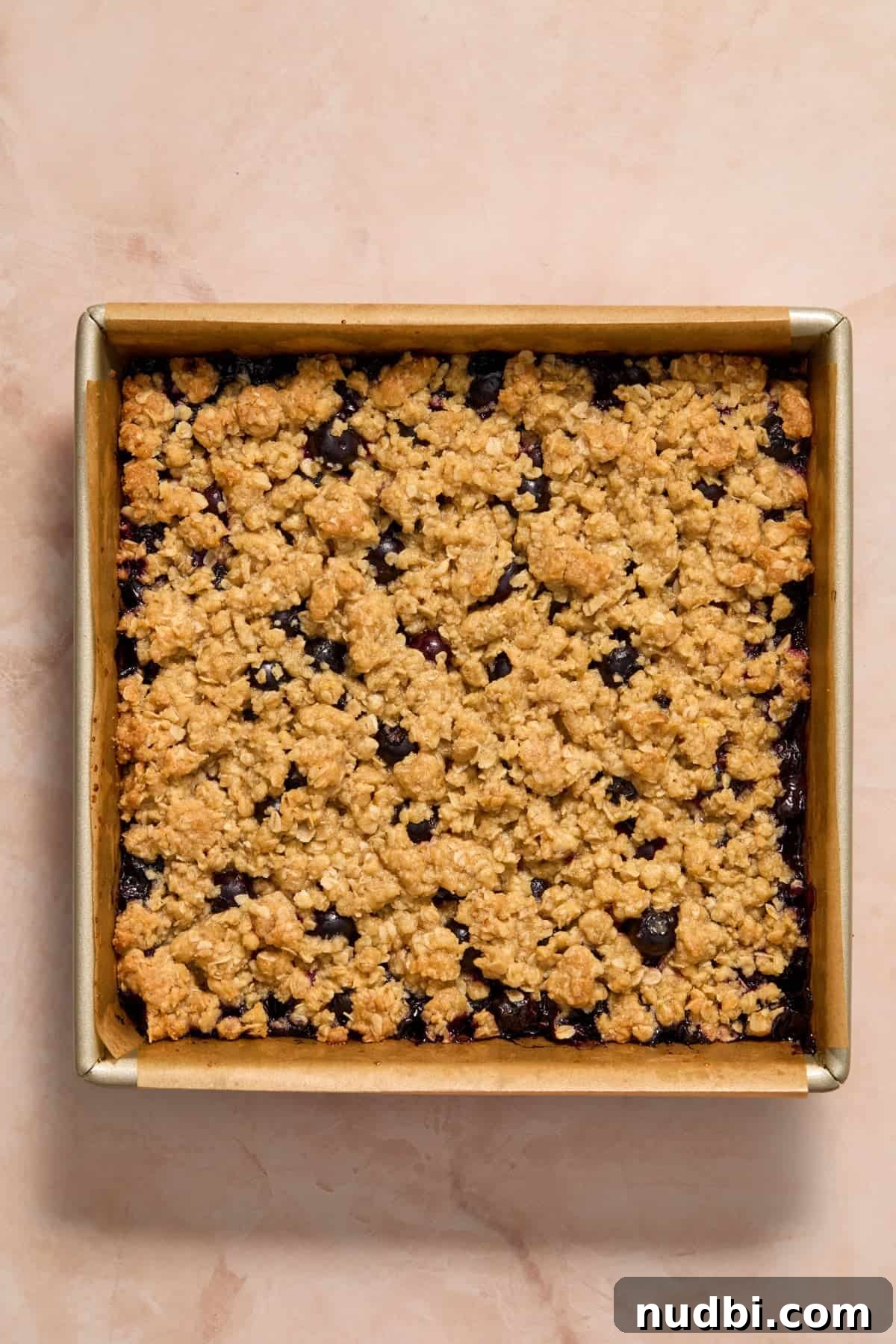 Baked blueberry lemon bars in pan.