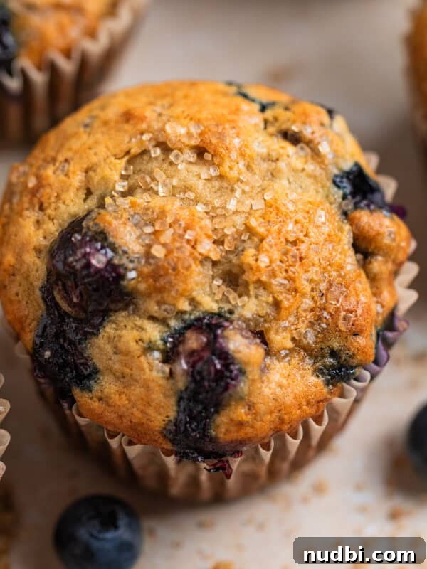 Blueberry muffin with coarse sugar on top and crumbs and berries surrounding.