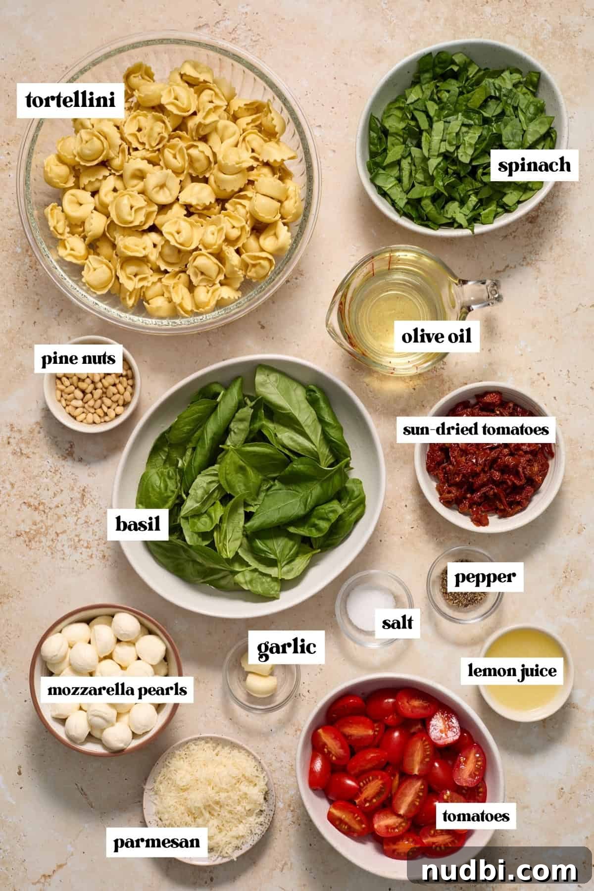 Creamy Tortellini Pesto Salad with Cherry Tomatoes & Spinach 4 Spinach, mozzarella pearls, spinach, tortellini and other ingredients labeled on surface.