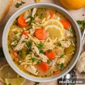 Bowl with orzo soup with chicken, carrots, celery and topped with lemon and parsley.