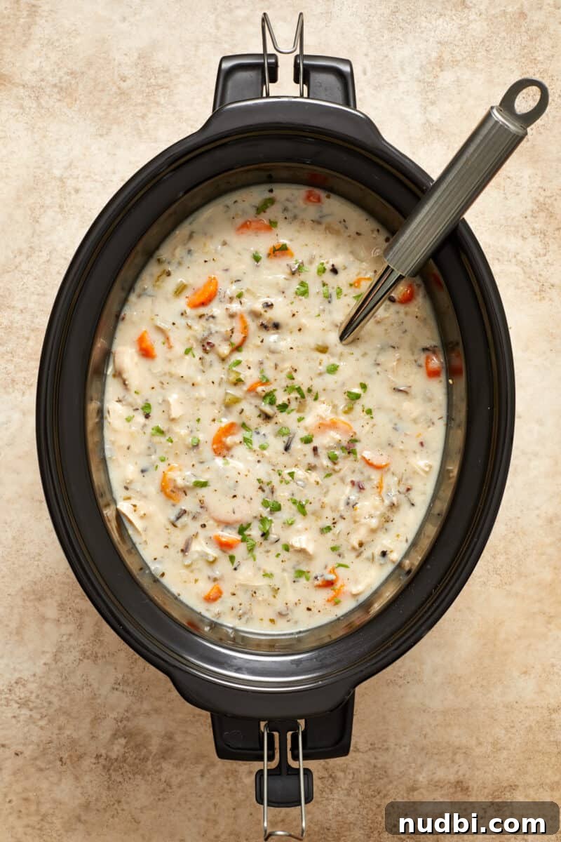 Slow-Cooker Chicken and Wild Rice Soup Recipe 9 Creamy chicken and wild rice crock pot soup with ladle.