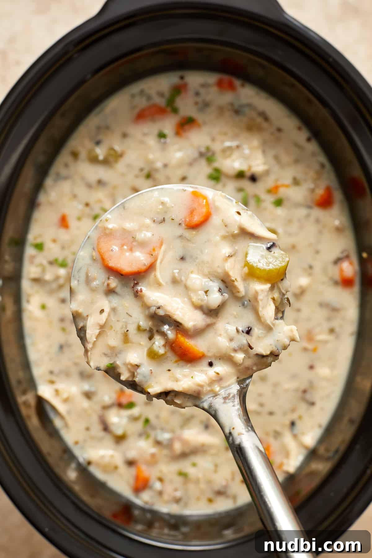 Slow-Cooker Chicken and Wild Rice Soup Recipe 10 Close up view of crock pot chicken wild rice soup in ladle.