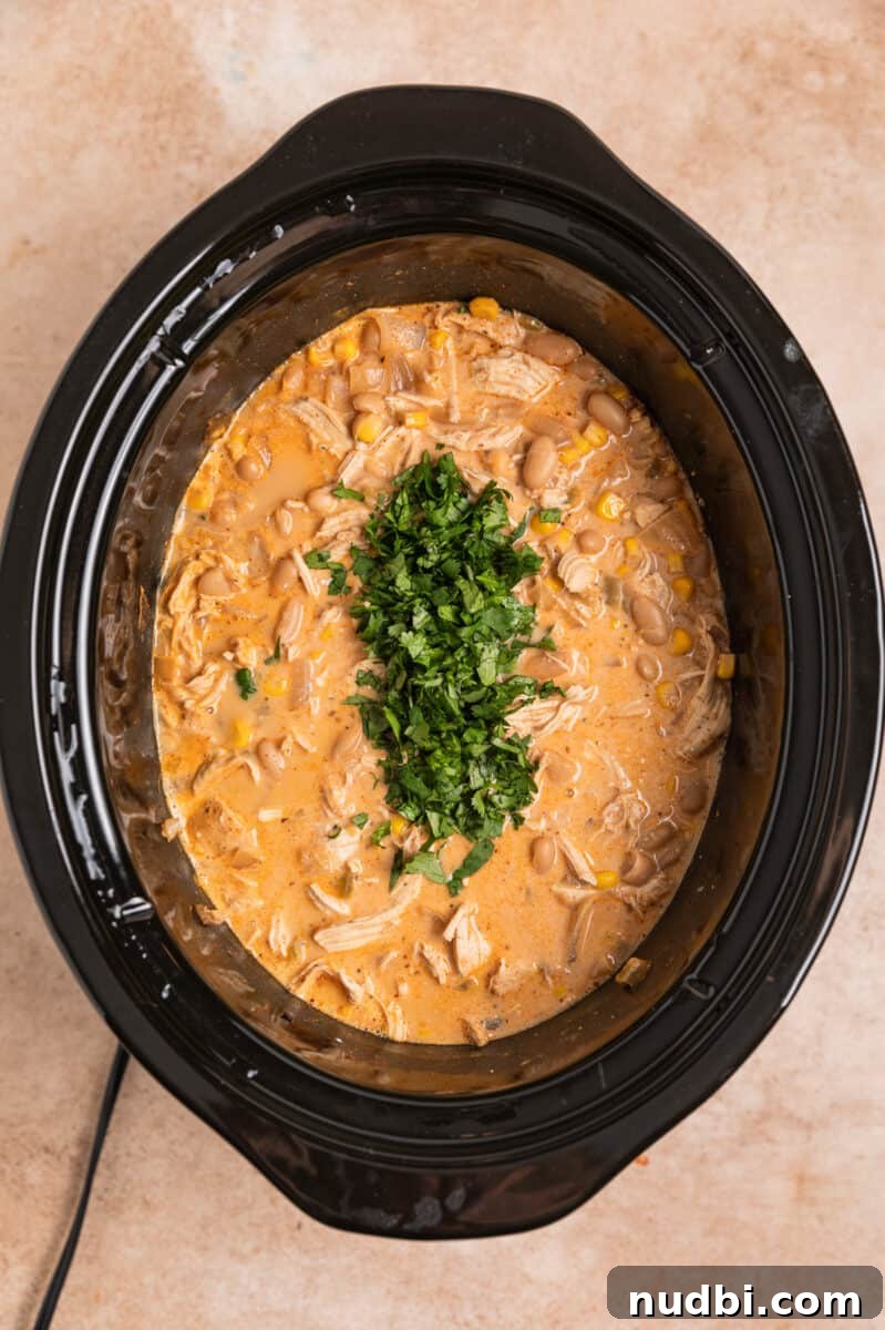 Creamy Slow Cooker White Chicken Chili Recipe 11 Cilantro added to crockpot creamy white chicken chili.