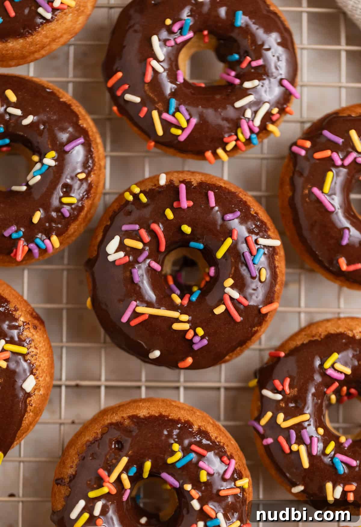 Light and Fluffy Greek Yogurt Donuts Recipe 2 Greek yogurt donuts with chocolate glaze and sprinkles on wire rack.