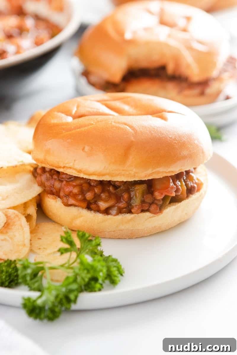 15-Minute Vegan Sloppy Joes Recipe for Quick Weeknight Meals 6 img 6900 5