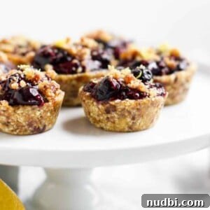 No-Bake Blueberry Lemon Mini Tarts Recipe 4 img 7000 3