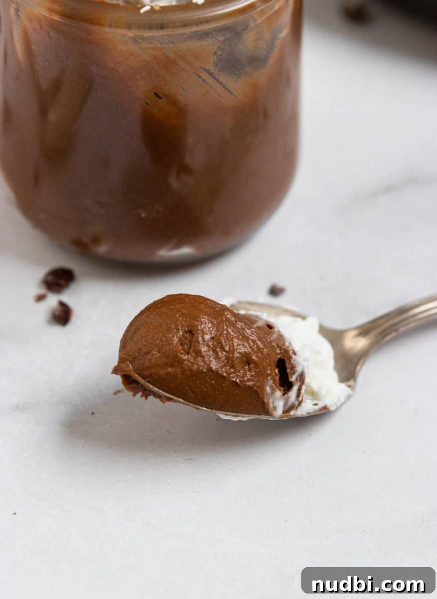 Bailey’s Dark Chocolate Avocado Mousse Recipe 4 Spoonful of dark chocolate mousse.