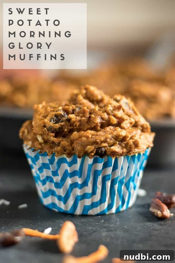 Our Adoption Journey: Day One + Sweet Potato Morning Glory Muffins 6 Sweet Potato Morning Glory Muffins. Rise and shine with these fluffy moist muffins packed with carrots, coconut, raisins and pecans--plus sweet potato! Breakfast of champs. #muffins #sweetpotato #morningglory #baking #breakfastrecipe #morningglorymuffin #sweetpotatoes