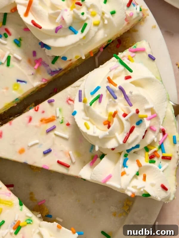 No-Bake Oreo Ice Cream Pie Recipe — Creamy Chocolate Sandwich Dessert 17 Slice of no-bake funfetti cheesecake with piped whipped cream and rainbow sprinkles on top.